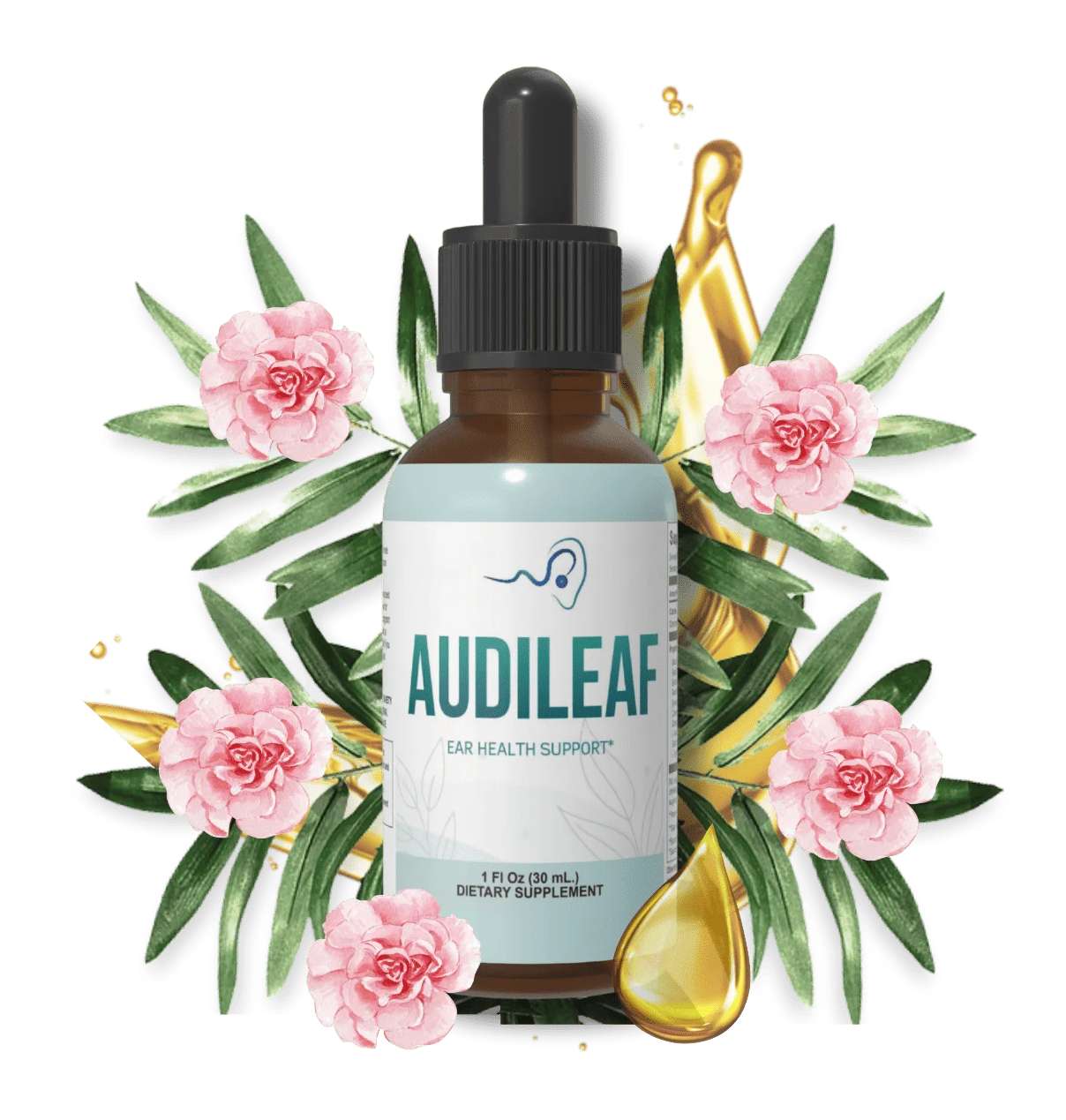 AudiLeaf